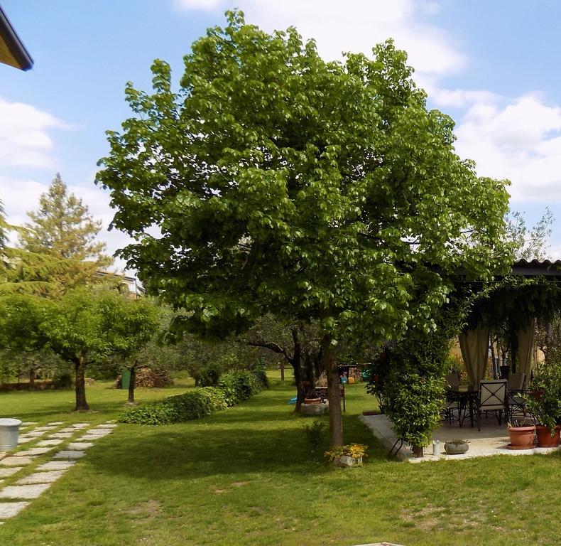Due Archi Panzió SantʼAmbrogio di Valpolicella Kültér fotó
