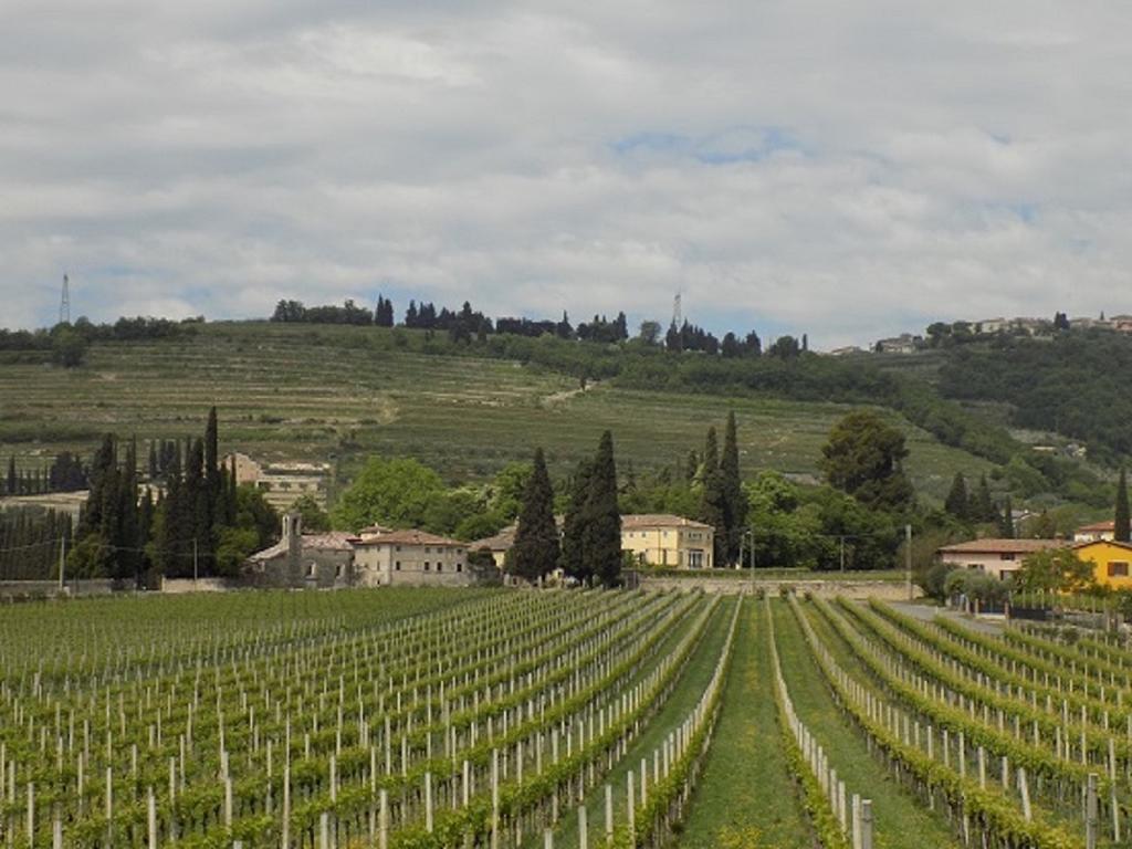 Due Archi Panzió SantʼAmbrogio di Valpolicella Kültér fotó